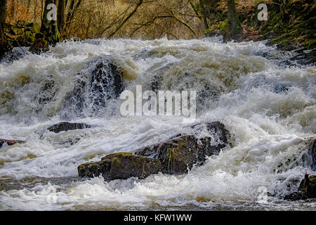 Harz Wasserfall der Selke bei Alexisbad im Harz mit Hochwasser Stockfoto