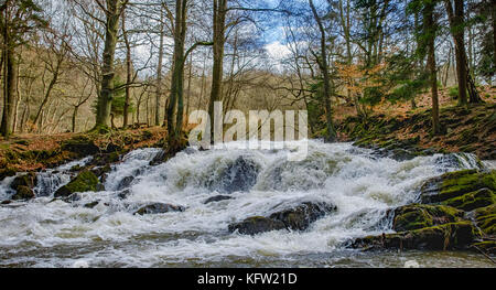 Harz Wasserfall der Selke bei Alexisbad im Harz mit Hochwasser Stockfoto