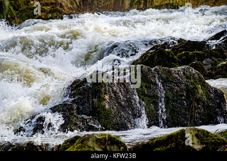 Harz Wasserfall der Selke bei Alexisbad im Harz mit Hochwasser Stockfoto