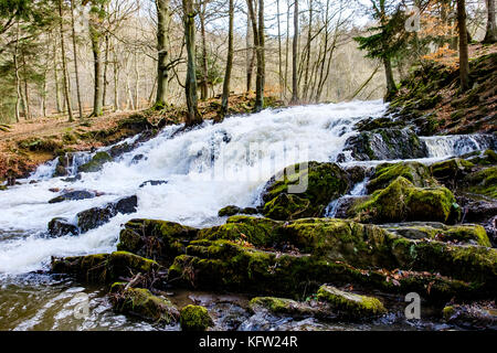 Harz Wasserfall der Selke bei Alexisbad im Harz mit Hochwasser Stockfoto