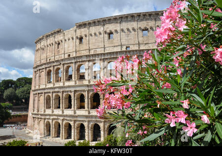 Das Kolosseum oder das Kolosseum in Rom, auch als das flavische Amphitheater bekannt Stockfoto