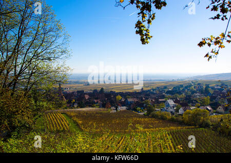 Blick auf das Dorf Riquewihr im Elsass Stockfoto