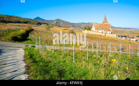 Kleines Dorf von Hunawihr im Elsass im späten Herbst Stockfoto