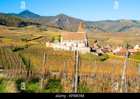 Kleines Dorf von Hunawihr im Elsass im späten Herbst Stockfoto