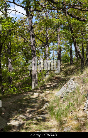 Fernwanderweg Selketal-Stieg Harz Stockfoto