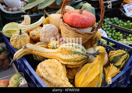 Verschiedene dekorative Kürbisse zum Verkauf auf dem Markt in Italien. Stockfoto