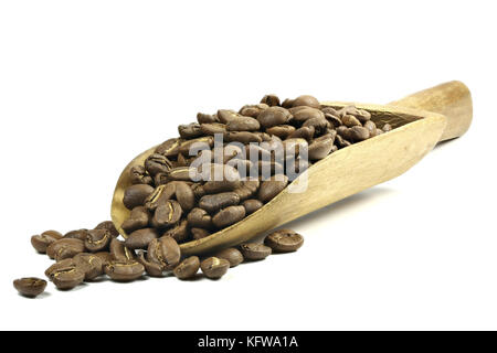 Holz- Schaufel mit Herstellung gerösteter indonesischen Arabica Kaffeebohnen auf weißem Hintergrund Stockfoto