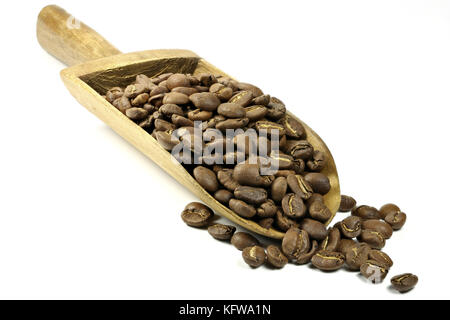 Holz- Schaufel mit Herstellung gerösteter indonesischen Arabica Kaffeebohnen auf weißem Hintergrund Stockfoto