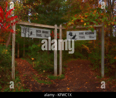 Baldwinsville, New York, USA, 27. Oktober 2017. Zwei der Wanderwege im Beaver Lake Nature Center in Baldwinsville, New York Stockfoto