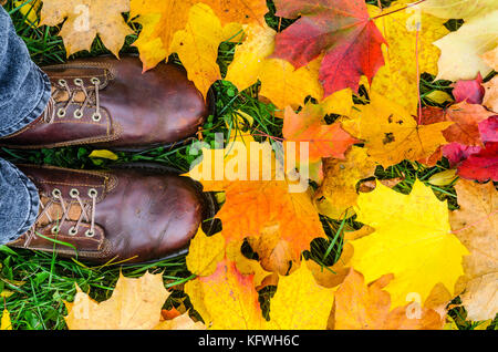 Ich-perspektive auf Füße in Leder Stiefel unter den gefallenen Blätter. Herbst Ansatz, Saison ändern Konzept Stockfoto