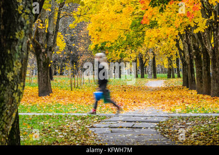 Motion blur Silhouette eines sich schnell bewegenden Mädchen in einem Herbst Park. lange Exposition Zusammenfassung Hintergrund. rush Konzept Stockfoto