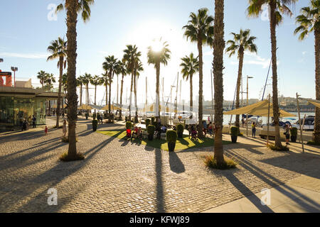 Palmeral de las Sorpresas, Hafen von Málaga, Andalusien, Spanien. Stockfoto