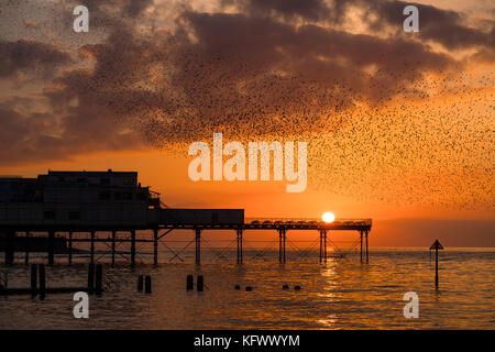 Aberystwyth Wales UK, Mittwoch 01 November 2017 UK Wetter: eine spektakuläre Darstellung von Starlingen vor einem dramatischen Sonnenuntergang, während Tausende der winzigen Vögel fliegen und in „Murmeln“ komplizierter Muster am Himmel in Aberystwyth tauchen, bevor sie hinabsteigen, um die Nacht unter der Seebrücke der Stadt zu verbringen. Nachdem die Sommermonate in Skandinavien verbracht wurden, sind die Herden von Zugstarnen wieder zu ihrem Winterfuttergebiet und ihren Schlafplätzen im Vereinigten Königreich zurückgekehrt Foto © Keith Morris / Alamy Live News Stockfoto