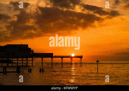 Aberystwyth Wales UK, Mittwoch 01 November 2017 UK Wetter: eine spektakuläre Darstellung von Starlingen vor einem dramatischen Sonnenuntergang, während Tausende der winzigen Vögel fliegen und in „Murmeln“ komplizierter Muster am Himmel in Aberystwyth tauchen, bevor sie hinabsteigen, um die Nacht unter der Seebrücke der Stadt zu verbringen. Nachdem die Sommermonate in Skandinavien verbracht wurden, sind die Herden von Zugstarnen wieder zu ihrem Winterfuttergebiet und ihren Schlafplätzen im Vereinigten Königreich zurückgekehrt Foto © Keith Morris / Alamy Live News Stockfoto