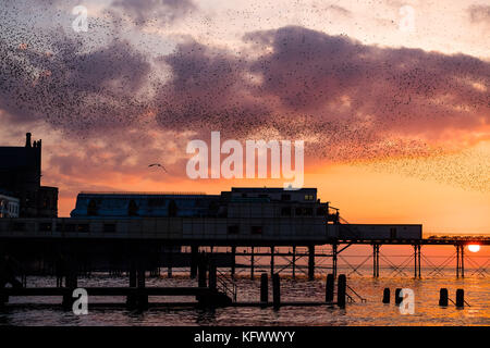 Aberystwyth Wales UK, Mittwoch 01 November 2017 UK Wetter: eine spektakuläre Darstellung von Starlingen vor einem dramatischen Sonnenuntergang, während Tausende der winzigen Vögel fliegen und in „Murmeln“ komplizierter Muster am Himmel in Aberystwyth tauchen, bevor sie hinabsteigen, um die Nacht unter der Seebrücke der Stadt zu verbringen. Nachdem die Sommermonate in Skandinavien verbracht wurden, sind die Herden von Zugstarnen wieder zu ihrem Winterfuttergebiet und ihren Schlafplätzen im Vereinigten Königreich zurückgekehrt Foto © Keith Morris / Alamy Live News Stockfoto