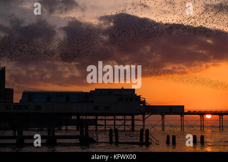 Aberystwyth Wales UK, Mittwoch 01 November 2017 UK Wetter: eine spektakuläre Darstellung von Starlingen vor einem dramatischen Sonnenuntergang, während Tausende der winzigen Vögel fliegen und in „Murmeln“ komplizierter Muster am Himmel in Aberystwyth tauchen, bevor sie hinabsteigen, um die Nacht unter der Seebrücke der Stadt zu verbringen. Nachdem die Sommermonate in Skandinavien verbracht wurden, sind die Herden von Zugstarnen wieder zu ihrem Winterfuttergebiet und ihren Schlafplätzen im Vereinigten Königreich zurückgekehrt Foto © Keith Morris / Alamy Live News Stockfoto