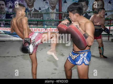 Kan Training, 14 Jahre alt und hat an 20 Kämpfen teilgenommen, Muay thai Camp, Bangkok, Thailand Stockfoto