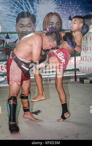 Pepsi Training, 14 Jahre alt und hat an 90 Kämpfen teilgenommen, Muay thai Camp, Bangkok, Thailand Stockfoto