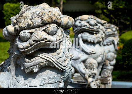 Statue von Chinese foo Dog Stockfoto