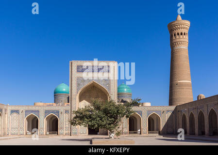 Innenhof an Po-i-Kalyan - Buchara, Usbekistan Stockfoto