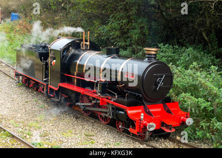 Dampflokomotive "blackmoor r' ein junger Mann auf der saltburn Light Railway gefahren Stockfoto