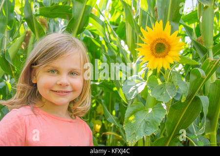 Junge Mädchen im Sonnenblumenfeld Stockfoto