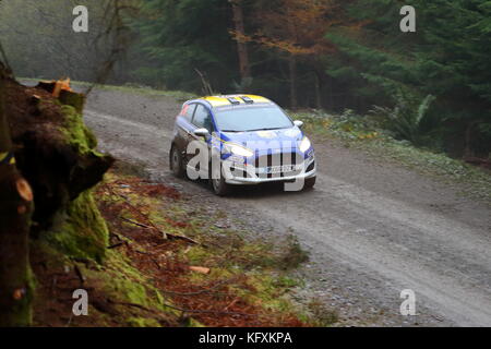 Teams von Herstellern und privaten Teams konkurrieren auf dem 2017 Dayinsure Wales Rally GB. Stockfoto