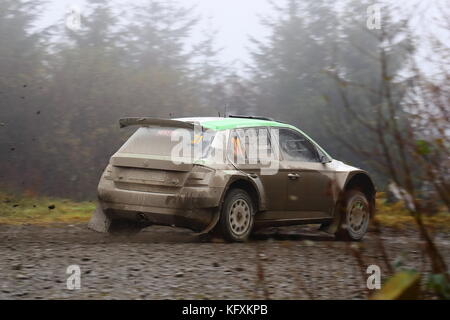 Teams von Herstellern und privaten Teams konkurrieren auf dem 2017 Dayinsure Wales Rally GB. Stockfoto