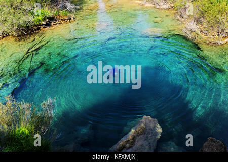 Pool im Fluss Korana in Stockfoto
