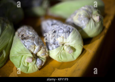Huitlacoche, auch als Corn smut, Mais Pilz oder mexikanische Trüffel bekannt, ist eine Delikatesse in Mexiko. Stockfoto