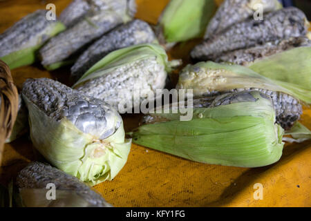 Huitlacoche, auch als Corn smut, Mais Pilz oder mexikanische Trüffel bekannt, ist eine Delikatesse in Mexiko. Stockfoto