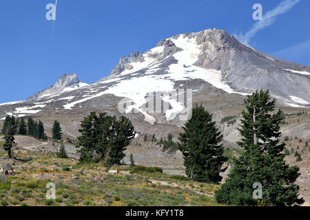 Mt Hood im Sommer, Oregon Stockfoto