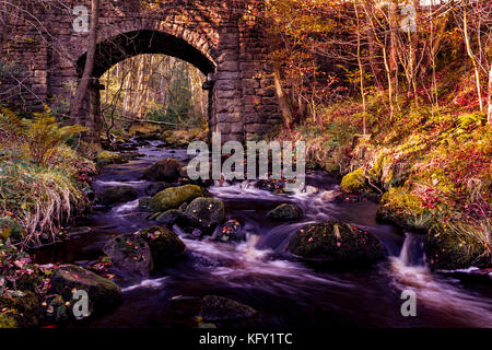 Brücke an Agden Bog Nature Reserve Stockfoto