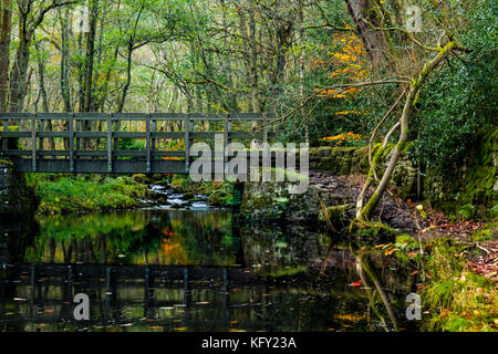 Brücke über den Fluss laufen in Agden Bog Stockfoto