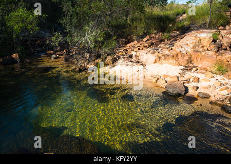 Kristallklares Wasser im Nitmiluk (Katherine Gorge) National Park, Northern Territory, Australien Stockfoto