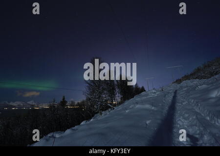 Nordlicht über den Wäldern Stockfoto