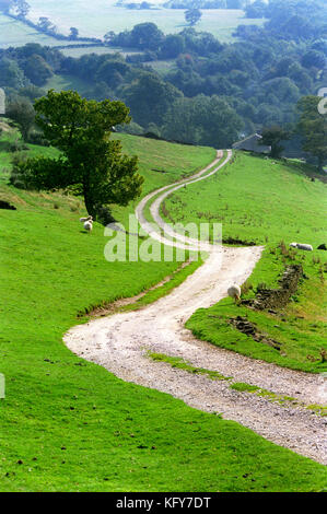 Großbritannien, England, Cheshire, Bollington, Berristall Dale, gewundenen Feldweg in Richtung Harrop Holz Stockfoto