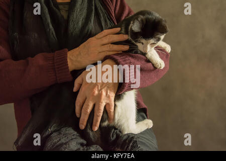 Alte Frau mit einem Schwarzen und Weißen Kätzchen Stockfoto