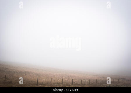 Dichter Nebel in den Highlands von Schottland Stockfoto