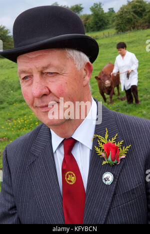 George Godber (Rinder zeigen, Richter) in seiner Beurteilung der Kleidung, zu Hause, in Holberrow Grün, nr. Redditch, mit einem seiner Dexter Kühe Stockfoto