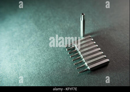 Austauschbare Spitzen für Schraubendreher, unterschiedliche Größen, neun in einer Reihe, Torx Stockfoto