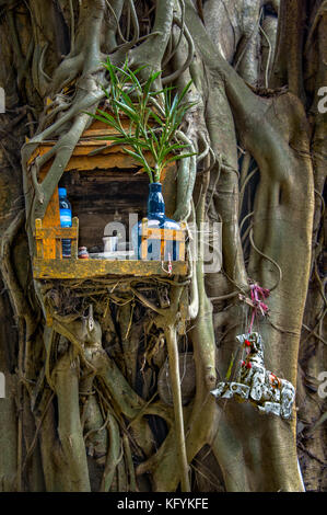 Geist Haus und Baum Wurzeln miteinander verflochten. Miniaturhaus für Guardian Geist, in Myanmar, Kambodscha, Laos sehen kann, und Thailand. Stockfoto