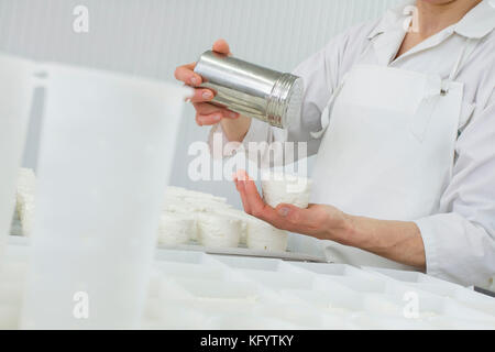 Ziegenkäse auf dem Bauernhof "La Ferme du Petit Quenneval" in Wirwignes (Nordfrankreich). Workshop, Ziegenkäse: Salzen Stockfoto