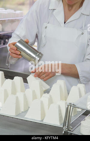 Ziegenkäse auf dem Bauernhof "La Ferme du Petit Quenneval" in Wirwignes (Nordfrankreich). Workshop, Ziegenkäse: Salzen Stockfoto