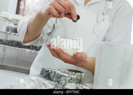 Ziegenkäse auf dem Bauernhof "La Ferme du Petit Quenneval" in Wirwignes (Nordfrankreich). Workshop, Ziegenkäse: Asche beschichtete Käse Stockfoto