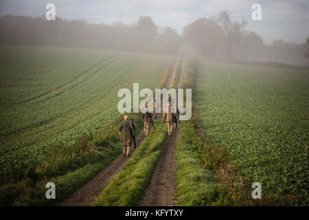 Herren Gewehren zu Fuß zu ihren Zapfen auf einen Fasan schießen auf einem nebligen Morgen, Hampshire, England. Stockfoto