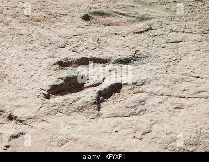 Dinosaur Footprint im Mill Canyon, Utah, USA Stockfoto