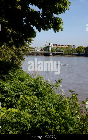 Rower auf der Themse in Hammersmith Bridge, Hammersmith, London, UK Stockfoto