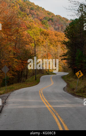 Herbst Farben zeichnen sich auf dem Hügel. Stockfoto