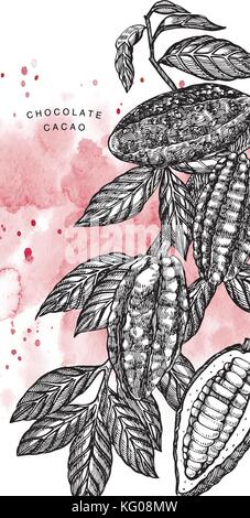 Schokolade Kakaobohnen Vector Illustration. graviert Stil Abbildung. skizziert Hand gezeichnet Kakaobohnen, Baum, Blätter und Zweige. Stock Vektor